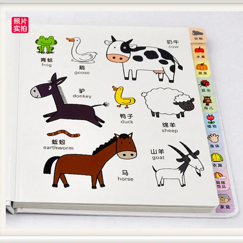 4Books/set Beebi Hiina ja inglise kakskeelne kognitiivse entsüklopeedia pildiraamatu, kõvakaaneline Libros Livros - 2
